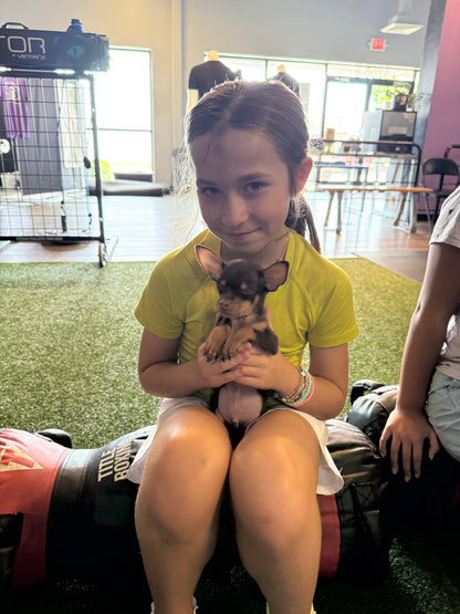 Puppy Yoga Part II