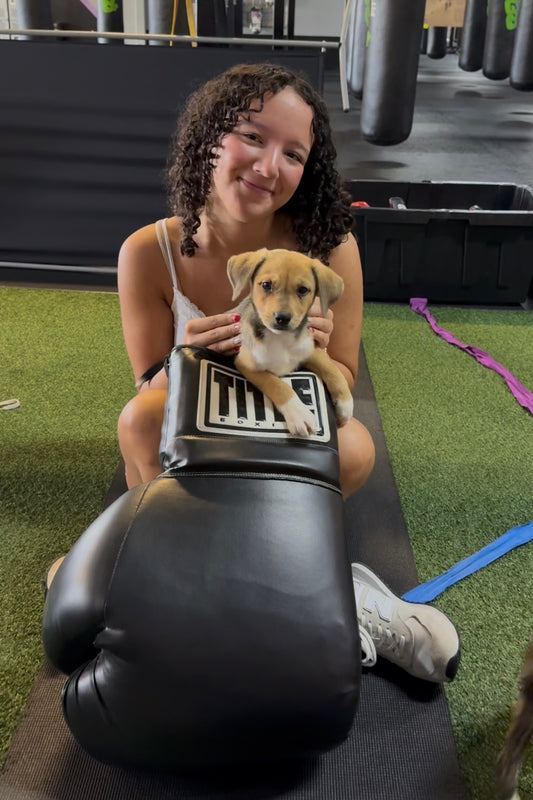 Puppy Yoga Part II