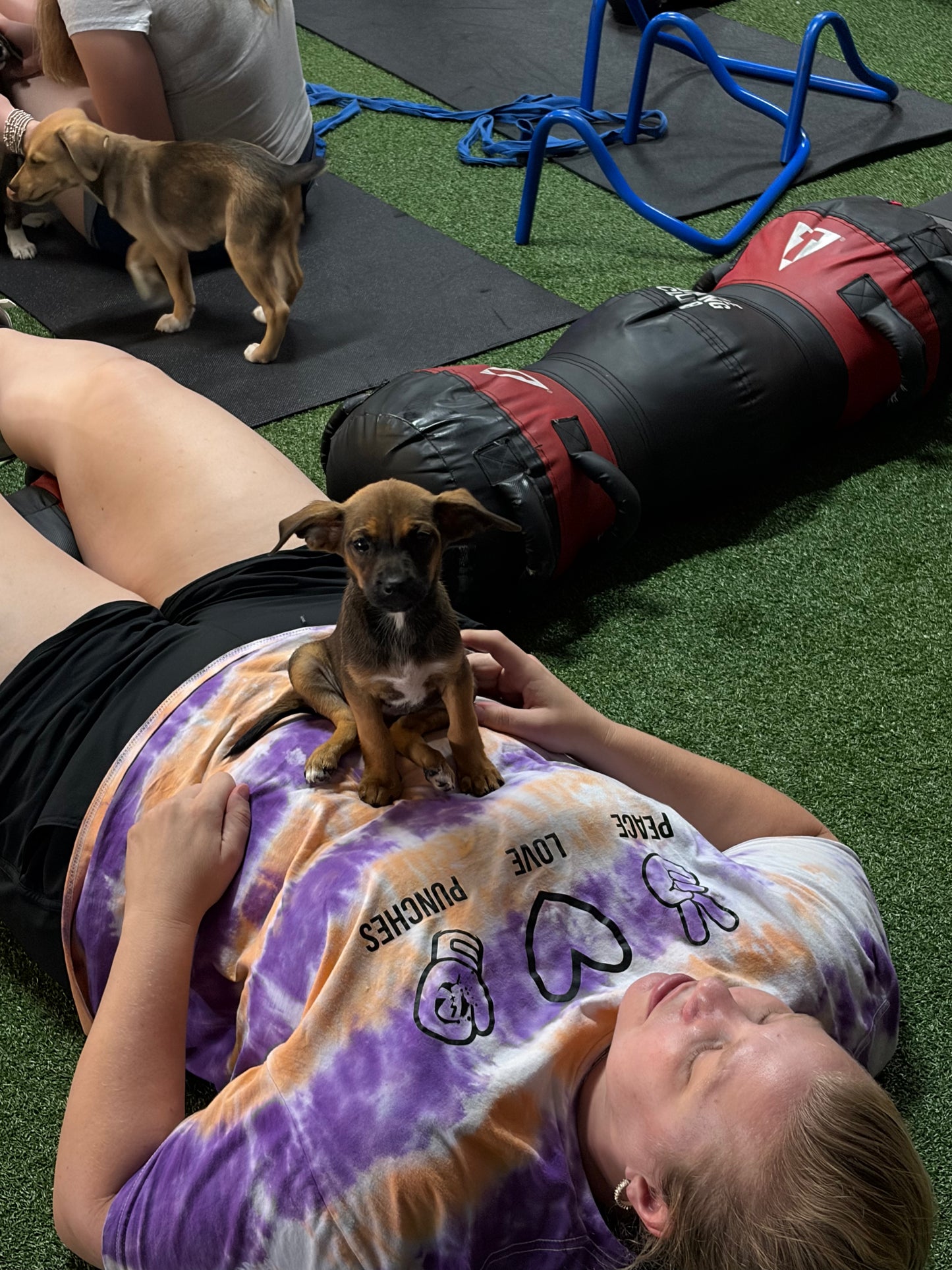 Puppy Yoga Part II